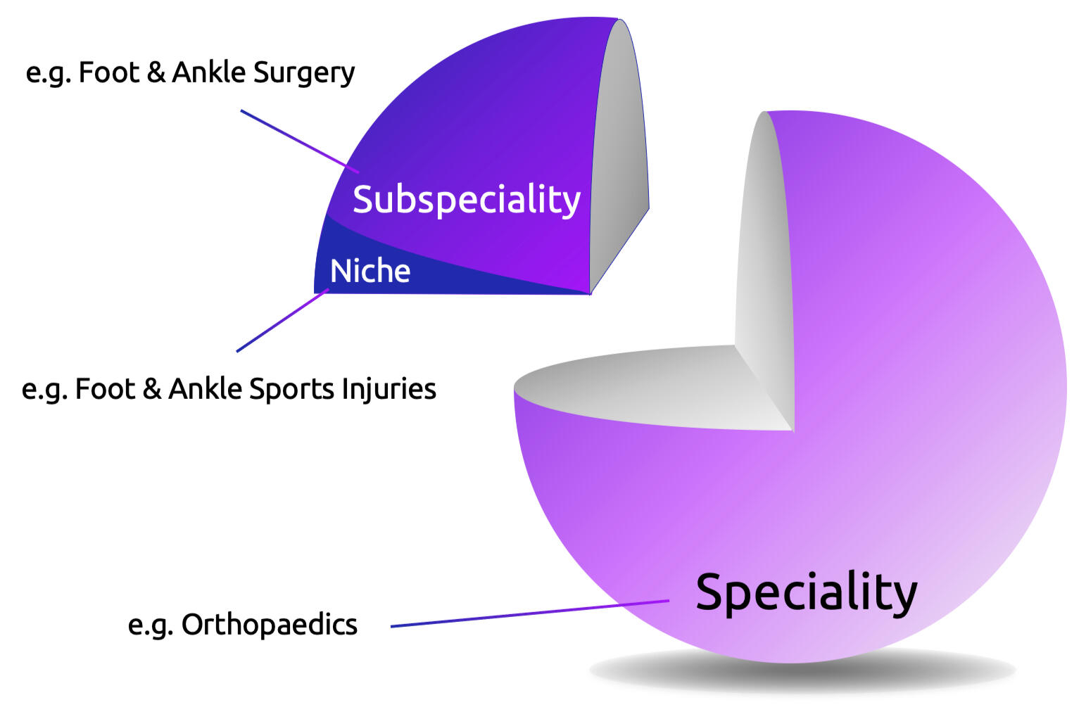 SPATTRO Medical Consultations